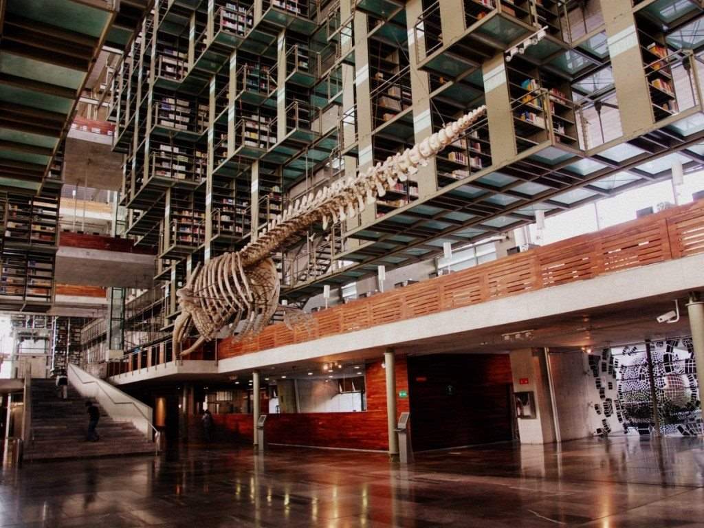 best-libraries-from-around-the-world-vasconcelos-library