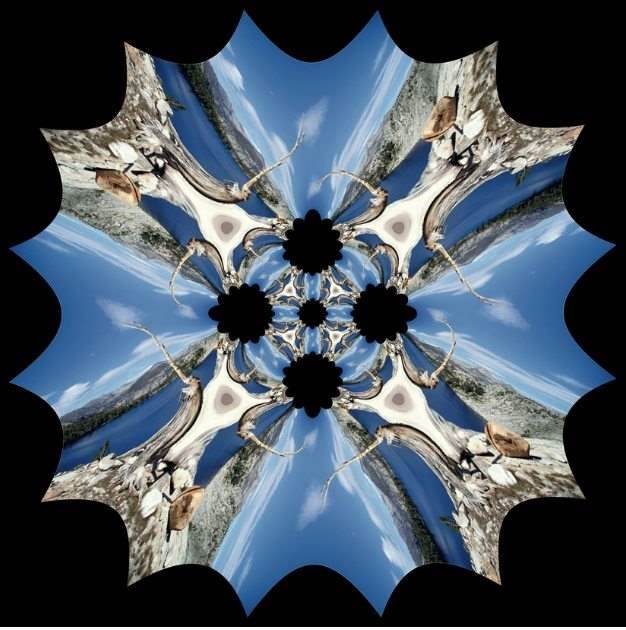 Symmetry